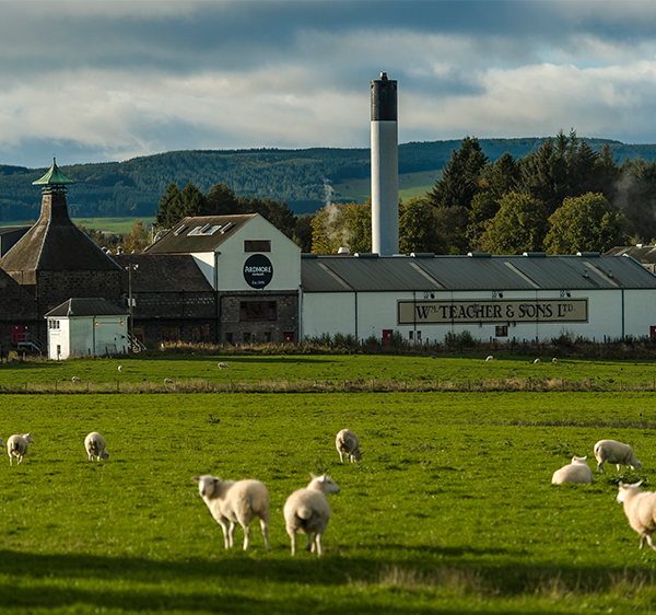 Ardmore Peatland