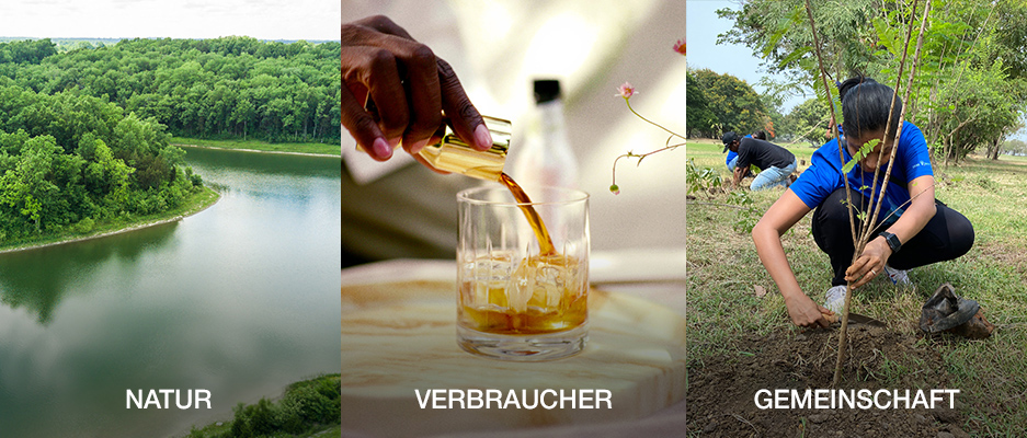 Unsere Proof Positive Strategie